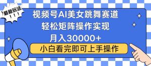 视频号蓝海赛道玩法，当天起号，拉爆流量收益，小白也能轻松月入30000+-小艾网创