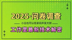 2025问卷调查最新工作室技术解密：一个人在家也可以闷声发大财，小白一天2张，可矩阵放大【揭秘】-小艾网创