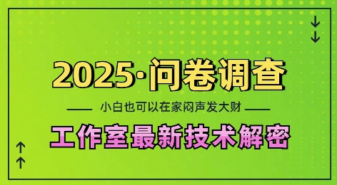 2025问卷调查最新工作室技术解密：一个人在家也可以闷声发大财，小白一天2张，可矩阵放大【揭秘】-小艾网创