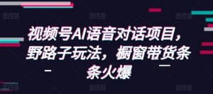 视频号AI语音对话项目,野路子玩法,橱窗带货条条火爆-小艾网创