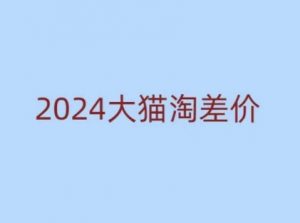 2024版大猫淘差价课程，新手也能学的无货源电商课程-小艾网创