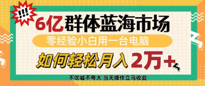 6亿群体蓝海市场，零经验小白用一台电脑，如何轻松月入过w【揭秘】-小艾网创