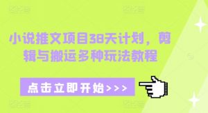 小说推文项目38天计划，剪辑与搬运多种玩法教程-小艾网创