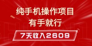 纯手机操作的小项目，有手就能做，7天收入2609+实操教程【揭秘】-小艾网创