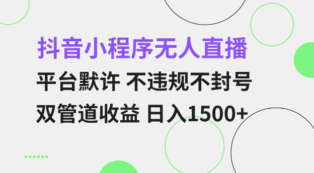 抖音小程序无人直播 平台默许 不违规不封号 双管道收益 日入多张 小白也能轻松操作【仅揭秘】-小艾网创
