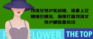 顶流女性IP实战班，流量上亿情绪引爆法，深度打磨顶流女性IP硬核基本功-小艾网创