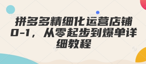 拼多多精细化运营店铺0-1,从零起步到爆单详细教程-小艾网创