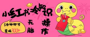 小红书冷知识账号，无脑复制粘贴，5分钟即可变现3张-小艾网创