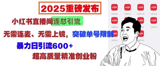 2025重磅发布：小红书直播间连怼引流，无需连麦、无需上镜，突破单号限制，暴力日引流600+-小艾网创