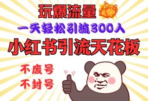 小红书引流天花板,玩爆流量,一天轻松引流300人,安全操作-小艾网创