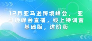 12月亚马逊跨境峰会， 亚马逊峰会直播，线上特训营基础版，进阶版-小艾网创