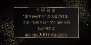 小红书神奇图片引流法，只需一张图，就能单条笔记凭借此方法，轻松引流 300 + 精准创业粉-小艾网创