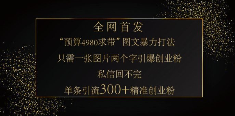 小红书神奇图片引流法，只需一张图，就能单条笔记凭借此方法，轻松引流 300 + 精准创业粉-小艾网创