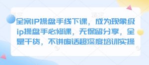 全案IP操盘手线下课,成为现象级ip操盘手必修课,无保留分享,全是干货,不讲废话超深度培训实操-小艾网创