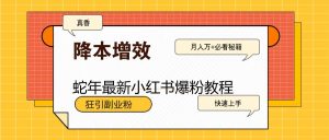 蛇年最新小红书爆粉教程，狂引副业粉，月入万+必看-小艾网创