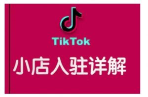 TikTok跨境小店运营全攻略，帮助你独立运营TK跨境小店的能力，实现销量增长-小艾网创