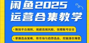 2025闲鱼电商运营全集，2025最新咸鱼玩法-小艾网创