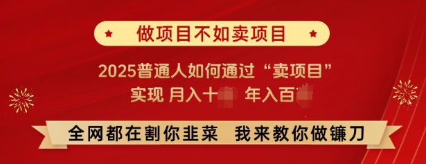 必看，做项目不如卖项目，2025普通人如何通过“卖项目”实现月入十个，年入百个-小艾网创