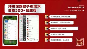 评论区野路子截流创业粉新方法，日被动加300+创业粉，精准引流被动添加...-小艾网创