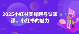 2025小红书实操起号认知课，小红书的魅力-小艾网创
