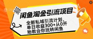 闲鱼淘金私域引流计划，从0开始玩转闲鱼，副业也可以挣到全职的工资-小艾网创