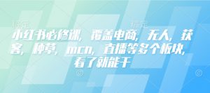 小红书必修课，覆盖电商，无人，获客，种草，mcn，直播等多个板块，看了就能干-小艾网创