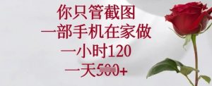 你只管截图，一部手机在家做，一小时120.一天5张【揭秘】-小艾网创