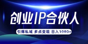 云帆·创业ip合伙人打造3.0，从0到1教你做网创，实现月入过W-小艾网创