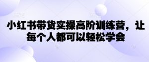 小红书带货实操高阶训练营，让每个人都可以轻松学会-小艾网创
