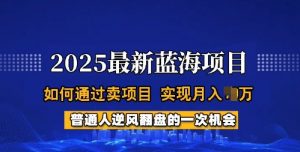 2025蓝海项目，普通人如何通过卖项目，实现月入过W，全过程【揭秘】-小艾网创