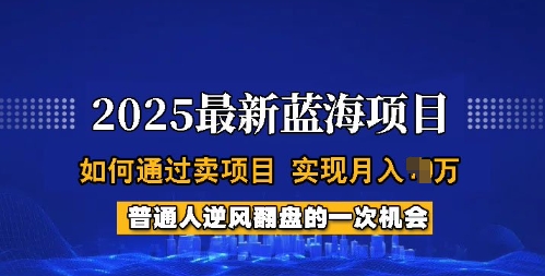 2025蓝海项目，普通人如何通过卖项目，实现月入过W，全过程【揭秘】-小艾网创