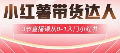 小红薯达人带货启航计划，3节直播课从0-1入门小红书-小艾网创