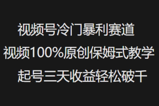 视频号冷门暴利赛道视频100%原创保姆式教学起号三天收益轻松破千-小艾网创