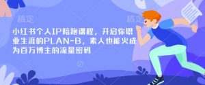 小红书个人IP陪跑课程，开启你职业生涯的PLAN-B，素人也能火成为百万博主的流量密码-小艾网创