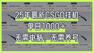 25年最新CSGO挂机系统，单日1000+，无需电脑，无需养号，0基础可上手-小艾网创