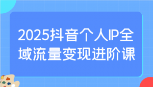 2025抖音个人IP全域流量变现进阶课：选爆品、抖音付费投流、千川投流实操及优化等-小艾网创