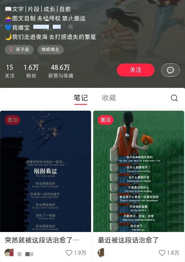 小红书治愈文案图文笔记，零门槛，一分钟制作轻松制作爆款作品月入万元-小艾网创