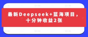 最新Deepseek+蓝海项目，十分钟收益2张-小艾网创