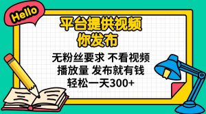 平台提供视频 你发布 无粉丝要求 不看视频播放量 发布就有钱 轻松一天300+-小艾网创