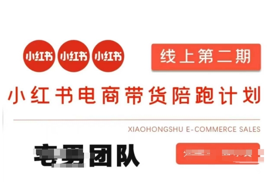 小红书电商带货课2期，月利润20个的小红书电商的有货源，无货源，虚拟产品，付费投流等整套玩法-小艾网创