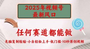 2025年视频号新风口，低门槛只需要无脑执行-小艾网创