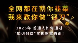 全网都在割你韭菜，我来教你做镰刀,2025普通人如何通过知识付费，实现财F自由【揭秘】-小艾网创
