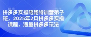拼多多实操陪跑特训营弟子班，2025年2月拼多多实操课程，海量拼多多玩法-小艾网创
