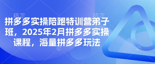 拼多多实操陪跑特训营弟子班，2025年2月拼多多实操课程，海量拼多多玩法-小艾网创