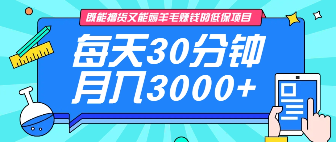 既能撸货又能赚钱的长期低保项目，每天30分钟，多号百分百稳定月入3000+！-小艾网创