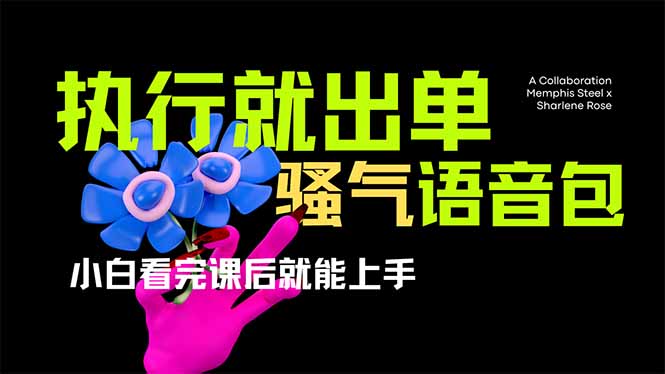 爆火全网的开车导航骚气语音包,只要执行就出单，小白看完课程就能实操…-小艾网创