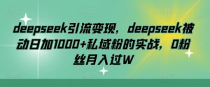 deepseek引流变现，deepseek被动日加1000+私域粉的实战，0粉丝月入过W-小艾网创