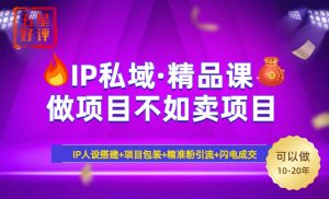 2025年“IP私域·密训精品课”，日赚3000+小白避坑年赚百万，暴力引流...-小艾网创