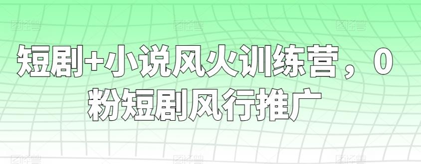 短剧+小说风火训练营，0粉短剧风行推广-小艾网创