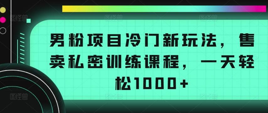男粉项目冷门新玩法，售卖私密训练课程，一天轻松1000+【揭秘】-小艾网创